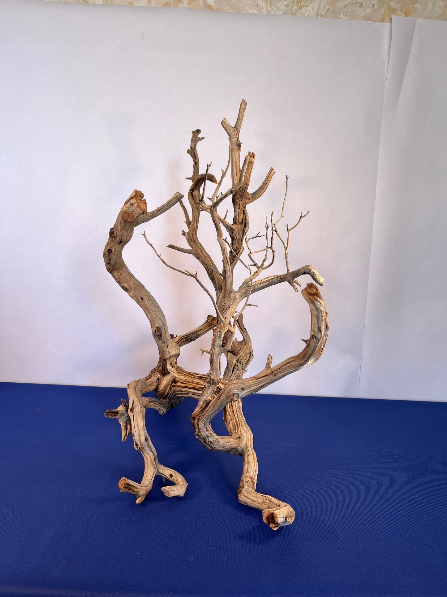 30" XL Manzanita Driftwood, Aquascape Centerpiece, Driftwood Branch