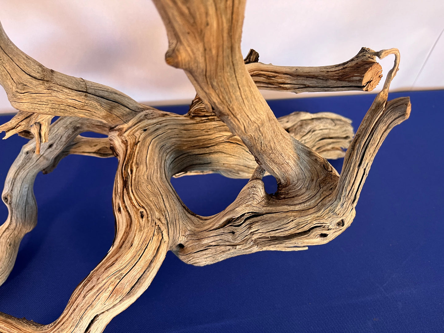 30" XL Manzanita Driftwood, Aquascape Centerpiece, Driftwood Branch