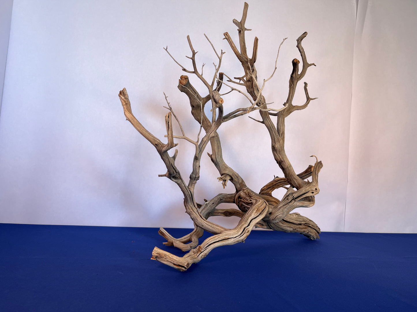 30" XL Manzanita Driftwood, Aquascape Centerpiece, Driftwood Branch