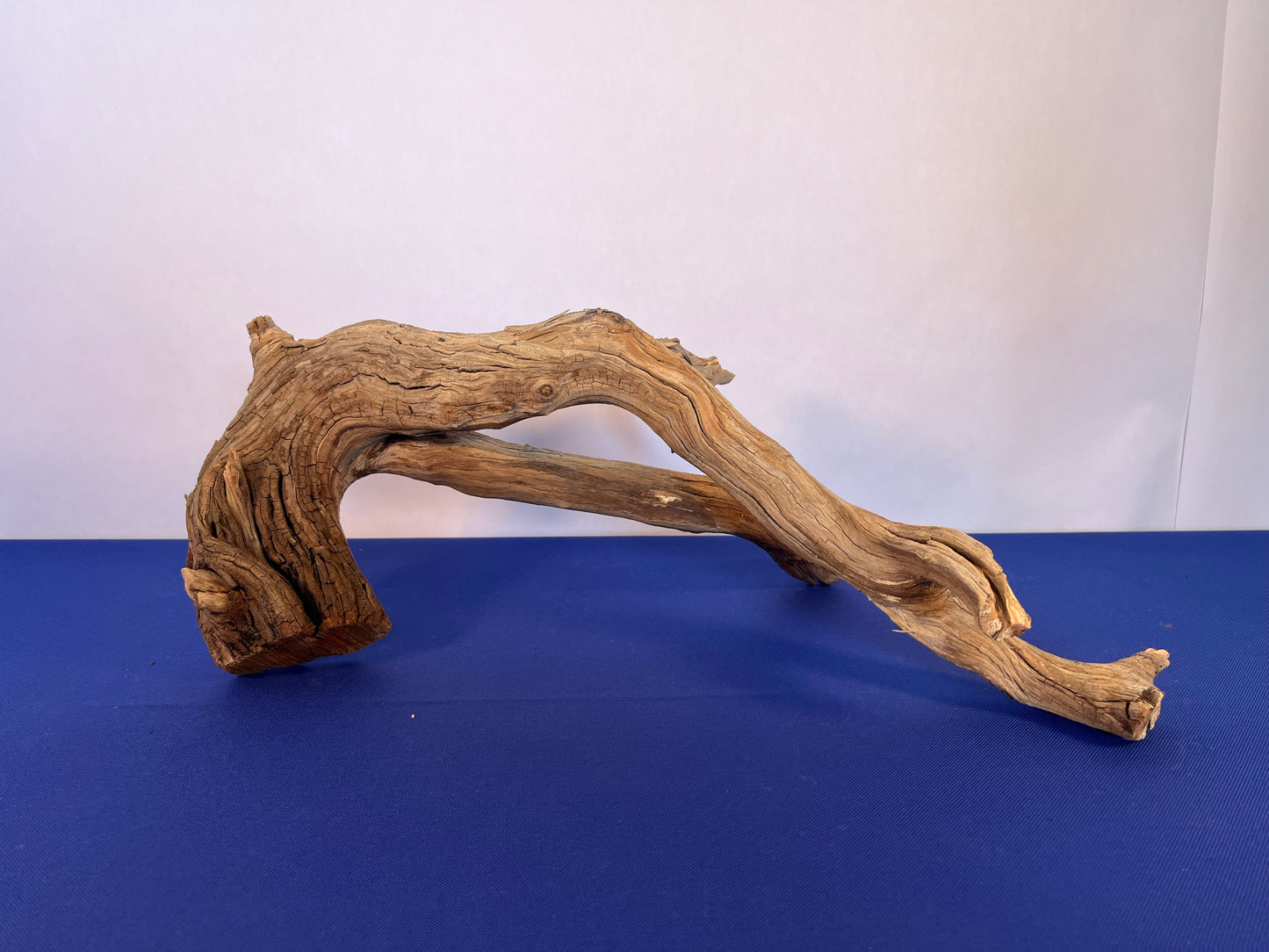 23" Manzanita Driftwood Arch, Reptile Wood, Aquarium Decor