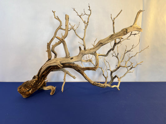 XL Manzanita Driftwood, 32" Driftwood Aquascape Branch, Aquarium Centerpiece