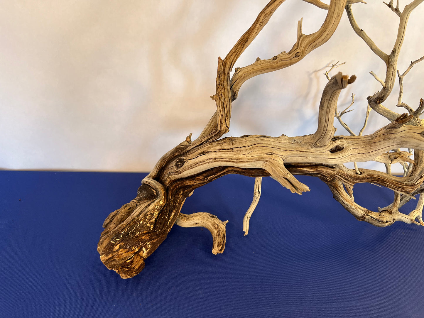 XL Manzanita Driftwood, 32" Driftwood Aquascape Branch, Aquarium Centerpiece