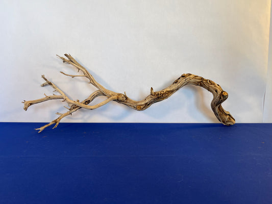 31" Manzanita Driftwood Natural Arch, Reptile Wood, Aquascape Wood, Aquarium Decor