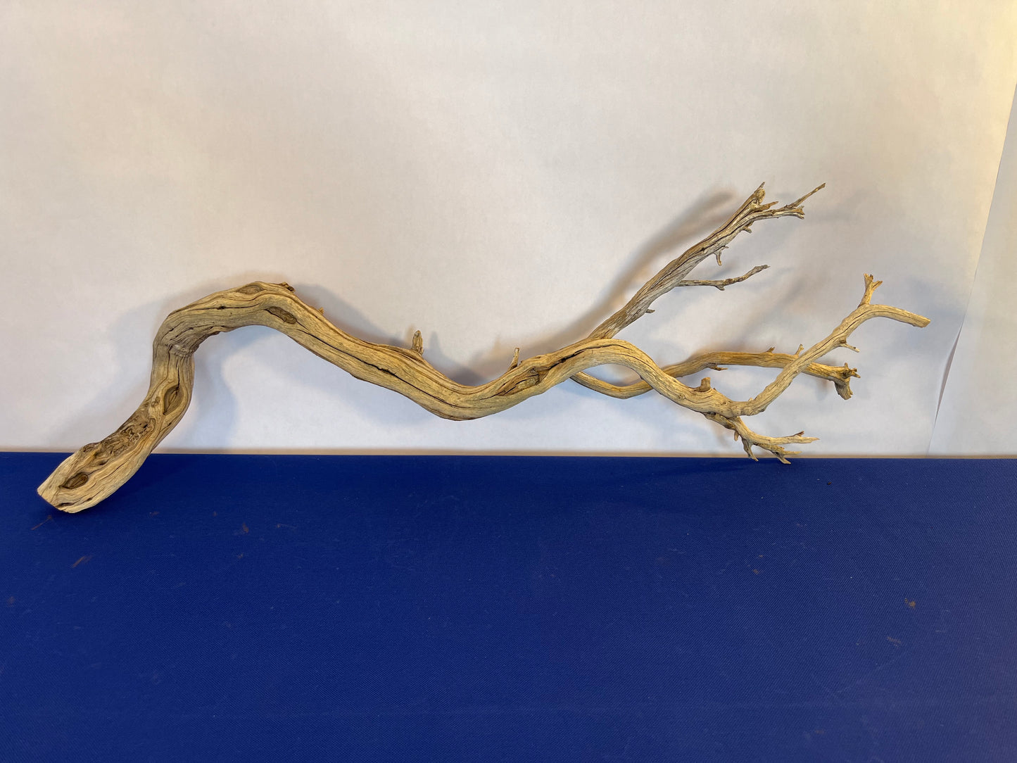 31" Manzanita Driftwood Natural Arch, Reptile Wood, Aquascape Wood, Aquarium Decor