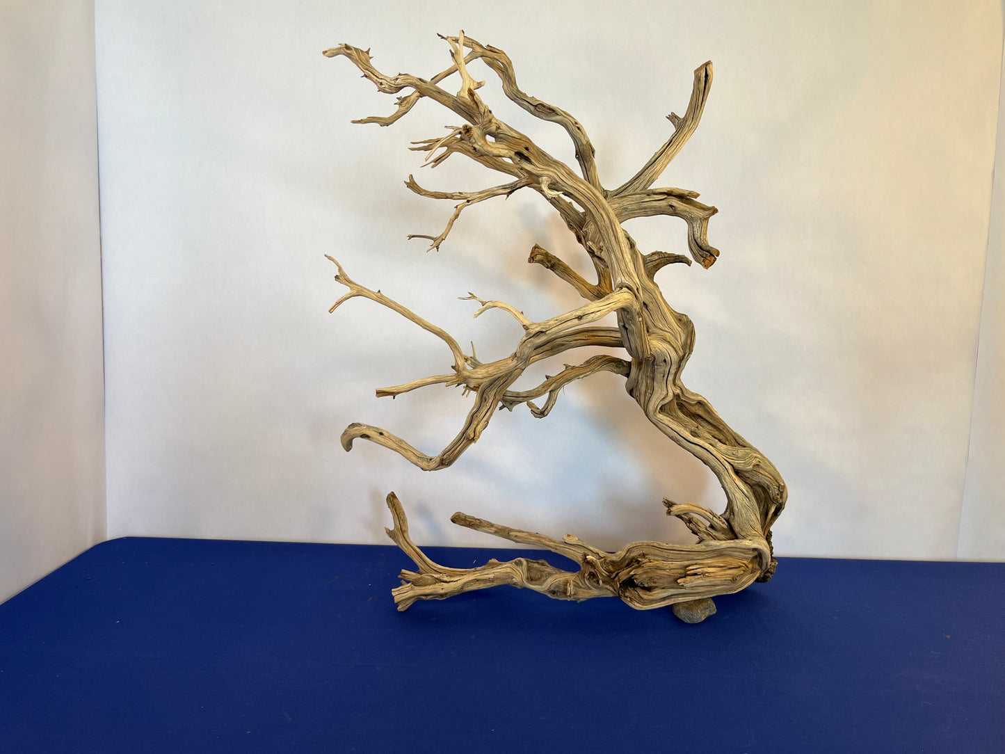 XL Manzanita Driftwood Centerpiece, Aquascape Wood, Large Manzanita Driftwood