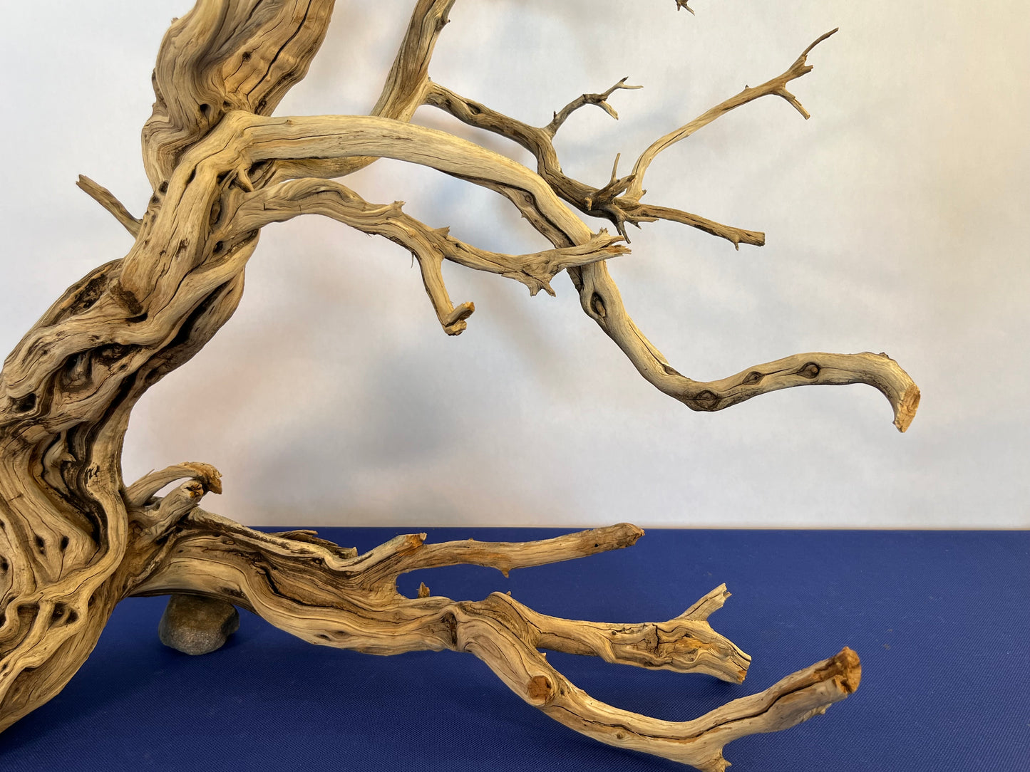 XL Manzanita Driftwood Centerpiece, Aquascape Wood, Large Manzanita Driftwood