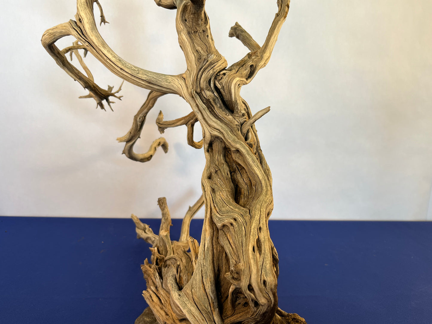 XL Manzanita Driftwood Centerpiece, Aquascape Wood, Large Manzanita Driftwood