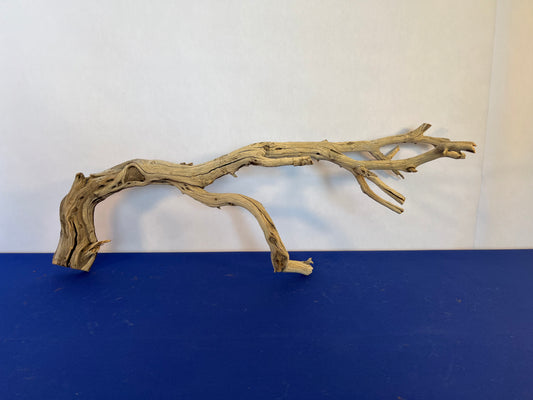 30" Manzanita Driftwood Arch, Driftwood Branch, Aquarium Wood, Reptile Wood