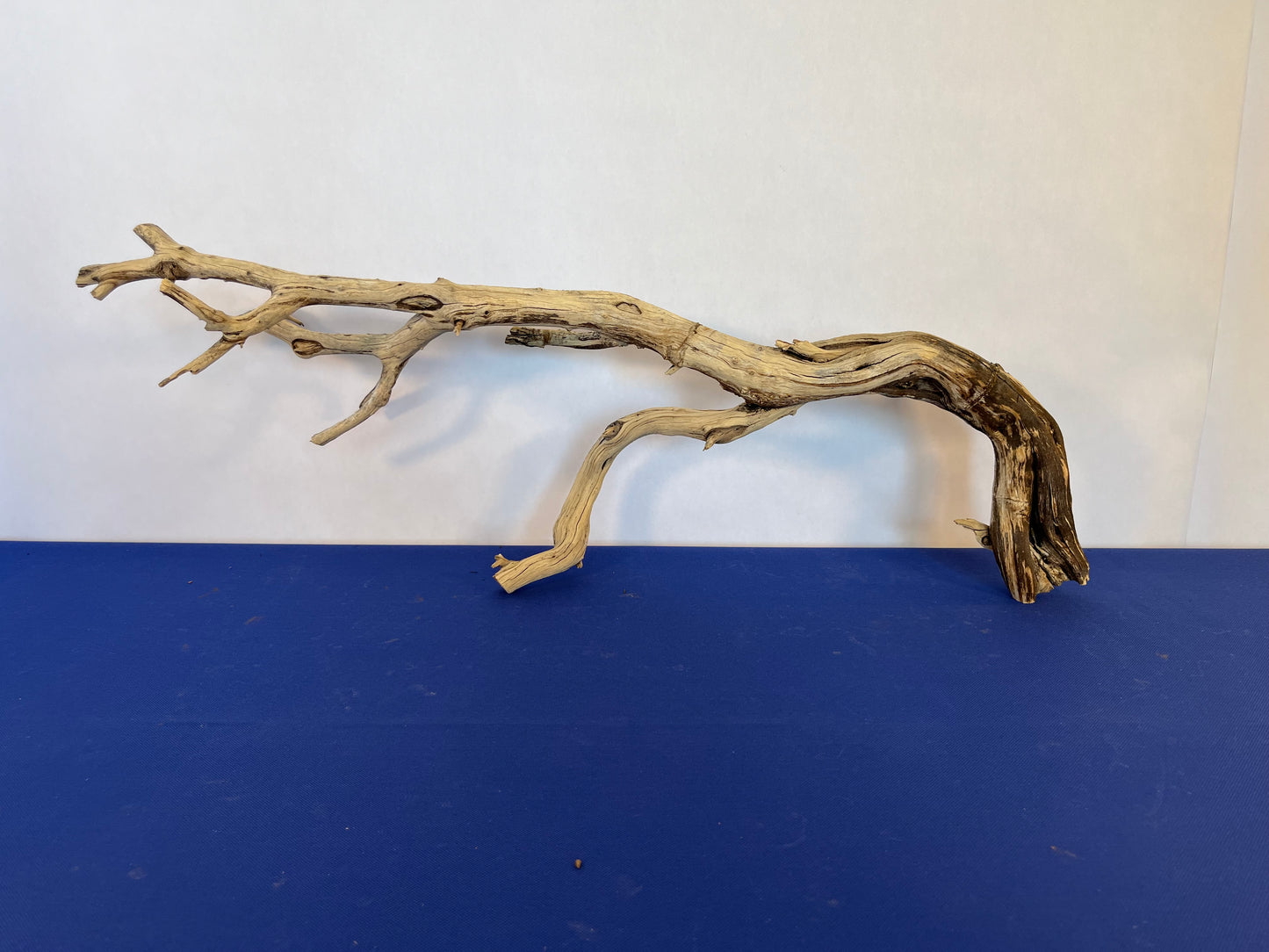 30" Manzanita Driftwood Arch, Driftwood Branch, Aquarium Wood, Reptile Wood