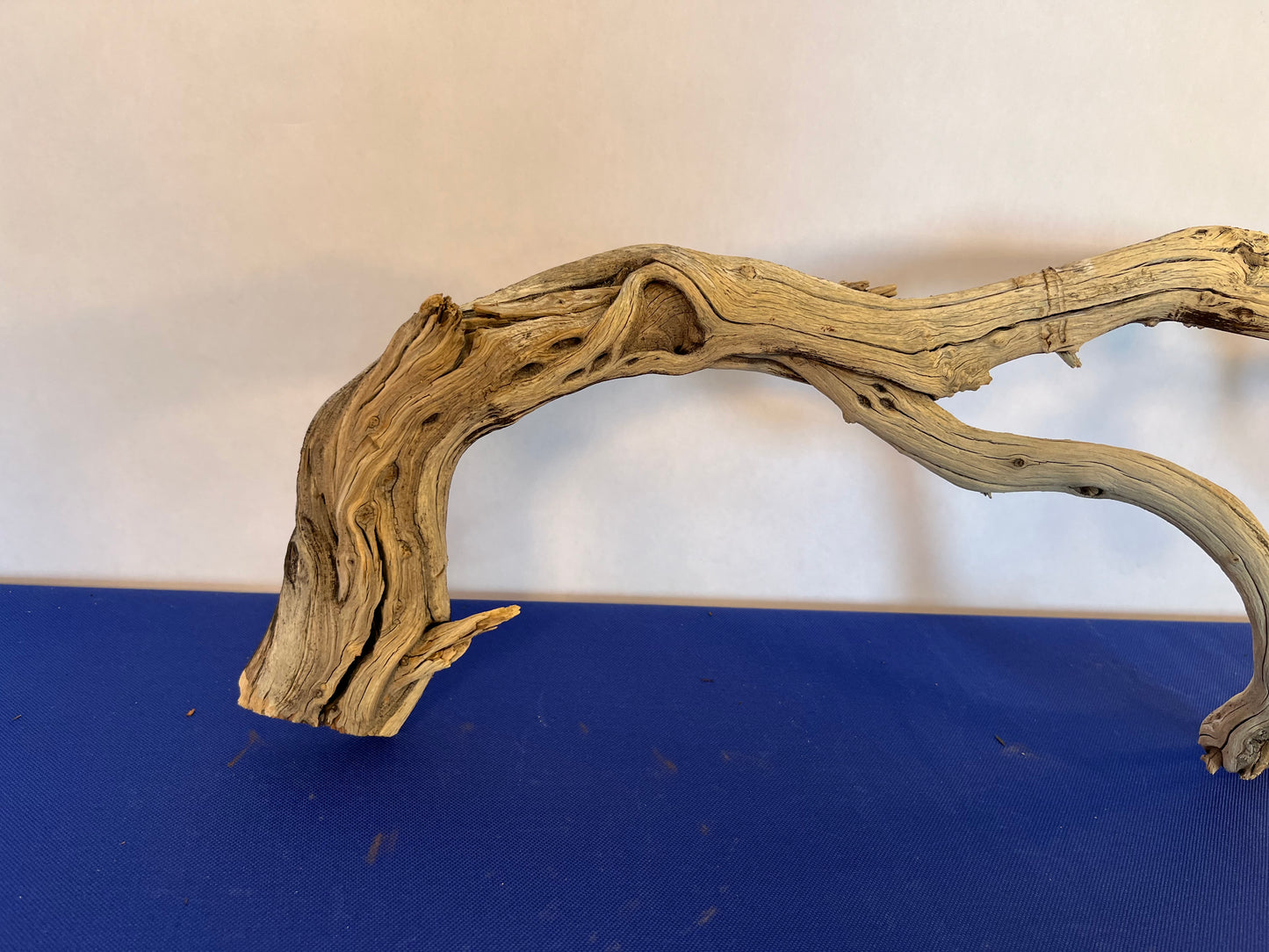 30" Manzanita Driftwood Arch, Driftwood Branch, Aquarium Wood, Reptile Wood