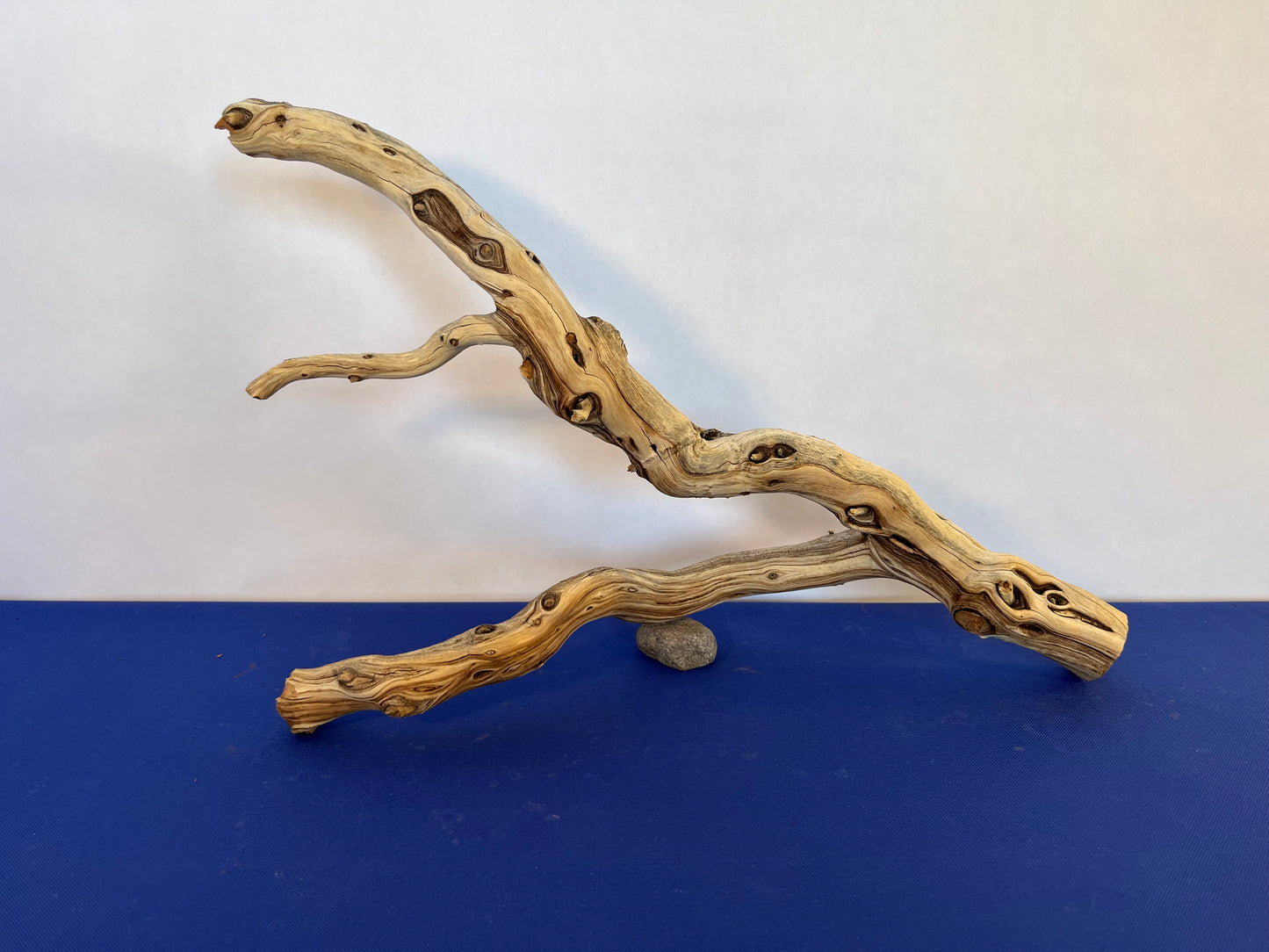 22" Manzanita Driftwood Branch, Reptile Wood, Aquarium Decor, Aquascape Driftwood