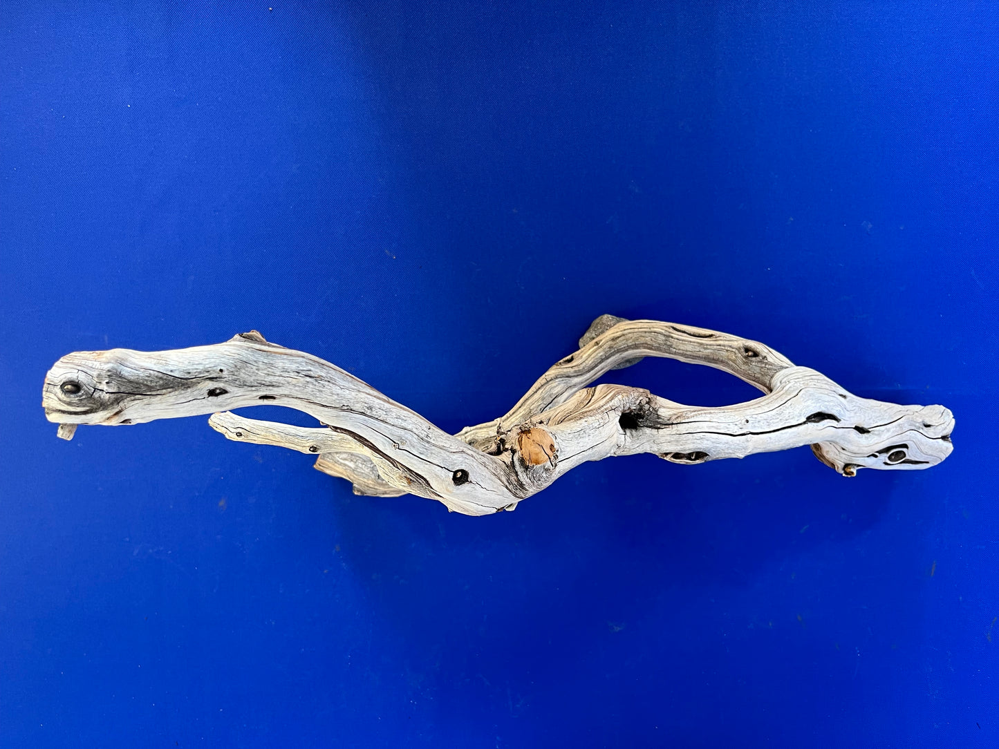 22" Manzanita Driftwood Branch, Reptile Wood, Aquarium Decor, Aquascape Driftwood