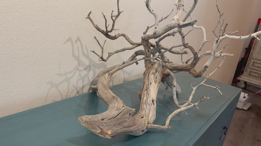 25" Manzanita Driftwood Centerpiece, Aquascape Decor, Manzanita Branch #3019