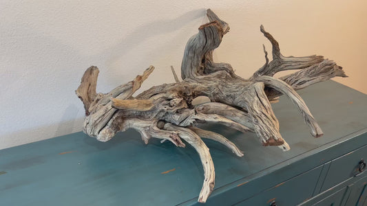 33" XL Manzanita Driftwood Centerpiece, Manzanita Root, Aquascape Showpiece